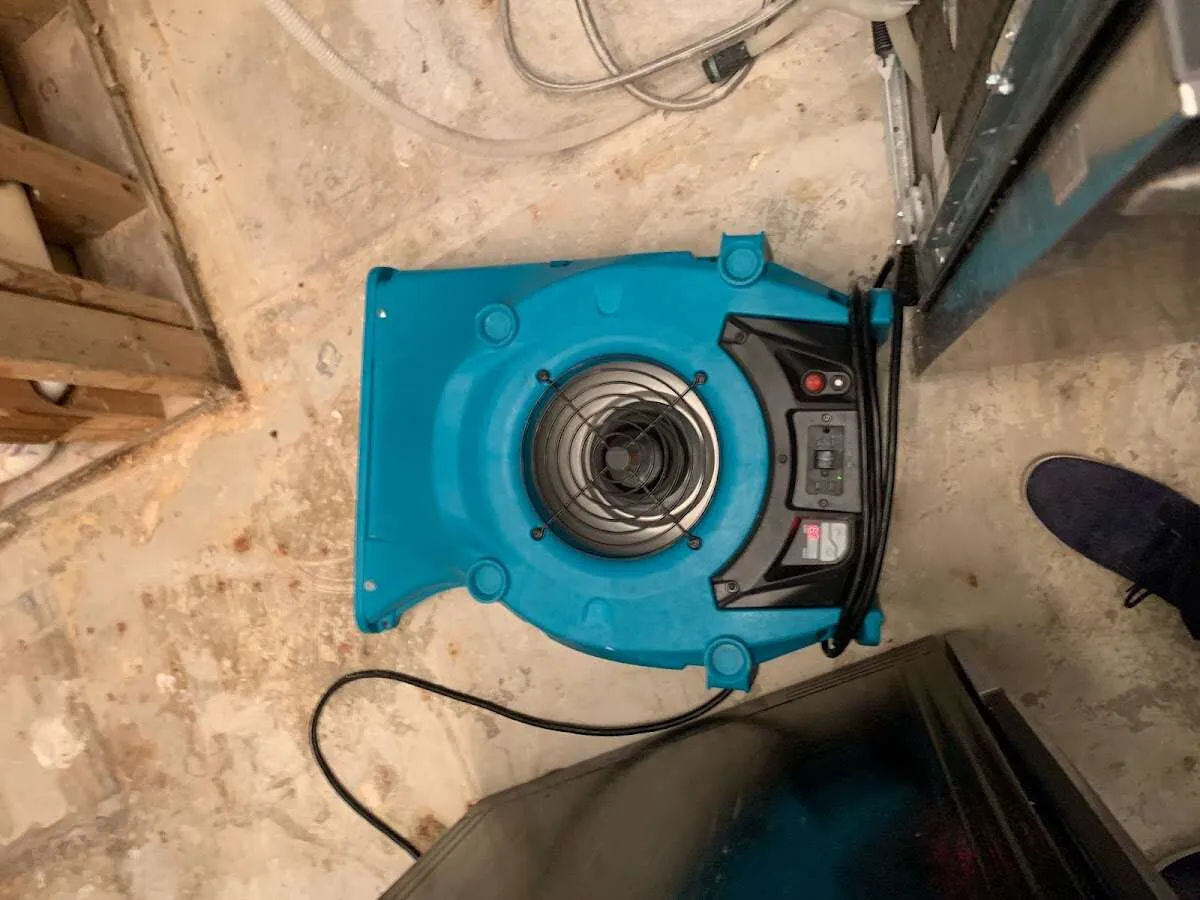 Air mover drying equipment for Mold Remediation & Removal in New Kensington